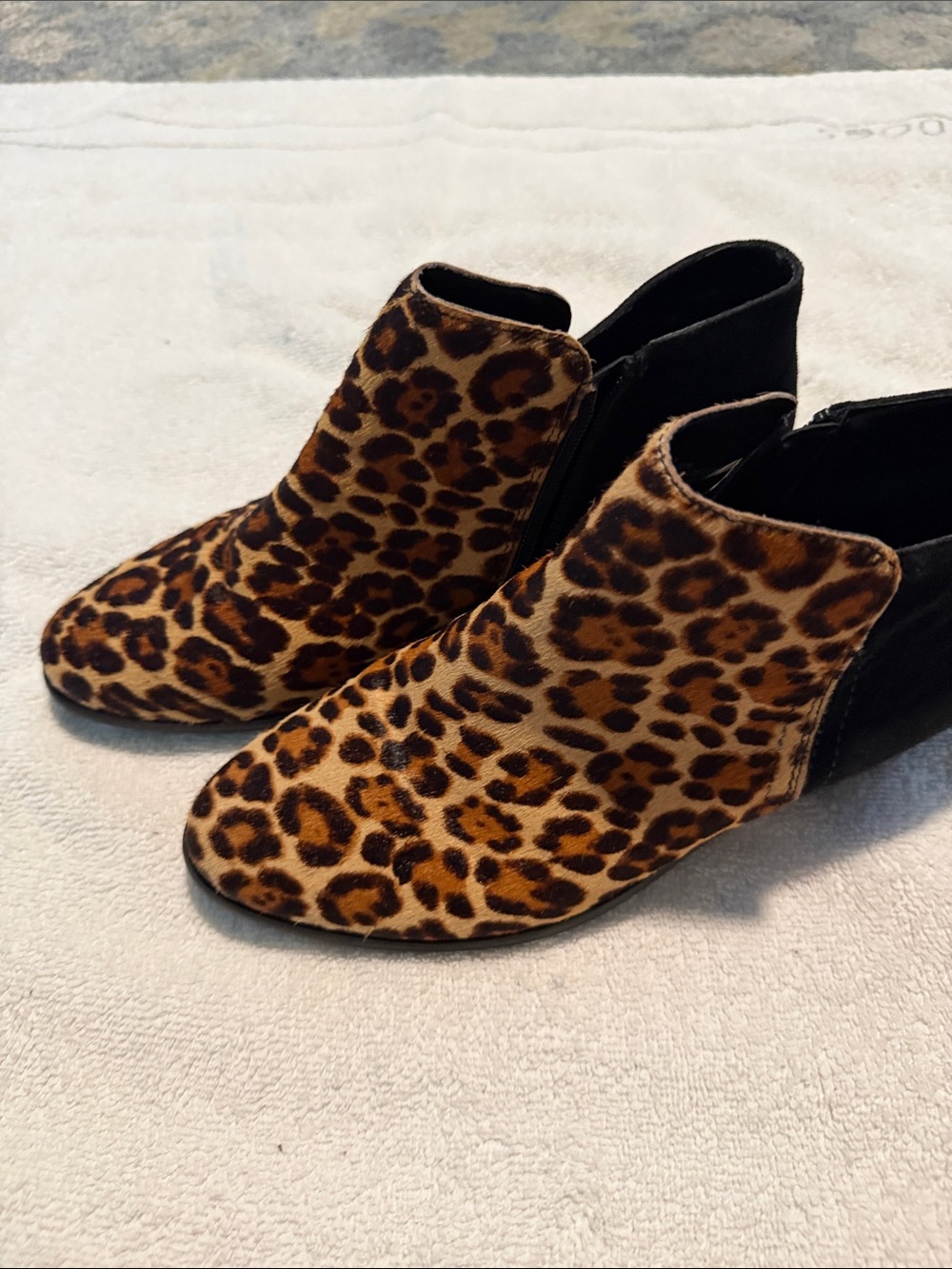 Bass Leopard Print Ankle Booties in Black and Brown